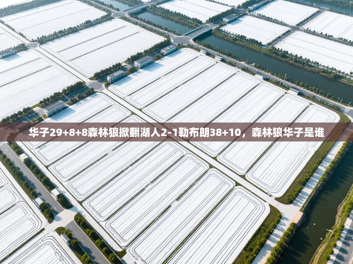 华子29+8+8森林狼掀翻湖人2-1勒布朗38+10,森林狼华子是谁 第1张