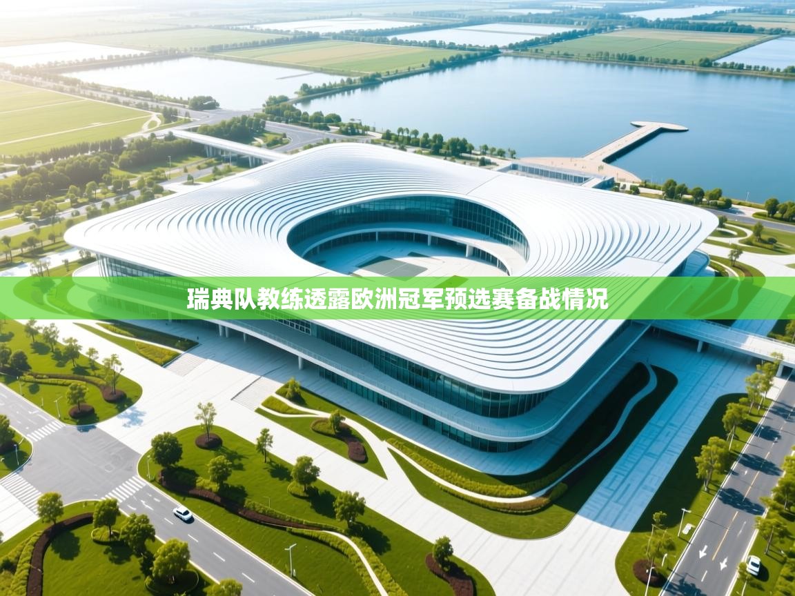 瑞典队教练透露欧洲冠军预选赛备战情况  第1张