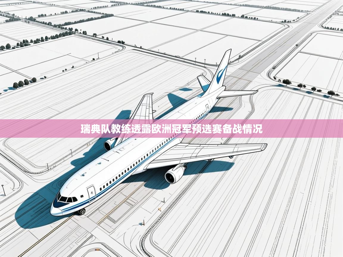 瑞典队教练透露欧洲冠军预选赛备战情况  第2张