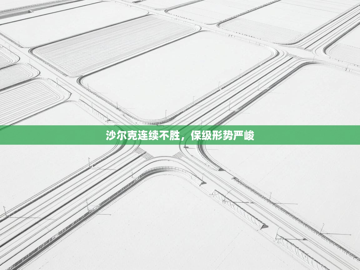 沙尔克连续不胜，保级形势严峻  第2张